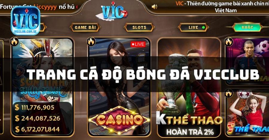 Trang cá độ bóng đá Vicclub là gì?